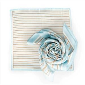 CLEOBELLA Rare Striped Light Blue Brown Silky Scarf Causebox NWT